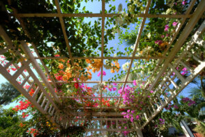 Pergola
