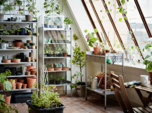 Vertikaler Garten