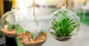 4 Deko-Ideen für einen kleinen Garten