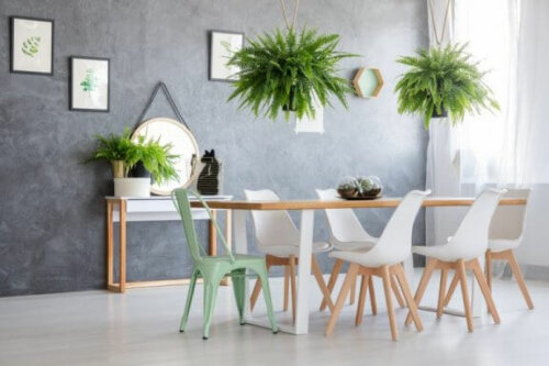 Die Dekoration mit Farnen kann jedes Zimmer in deinem Haus beleben