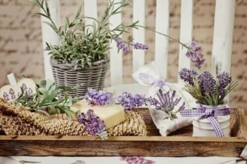 Eine Vase mit Wildblumen oder eine kleine Pflanze helfen dir dabei, das natürliche Ambiente zu schaffen, nach dem du dich sehnst.