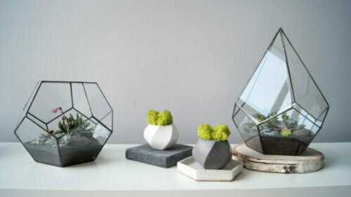 Terrarien sind Glasbehälter, die Leben beherbergen und auf ästhetischer Ebene viele Möglichkeiten bieten.