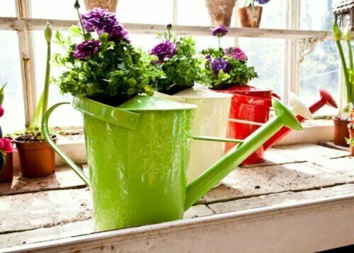 Die Verwendung einer Gießkanne als Blumenvase wird bei deinen Gästen sicher Blicke auf sich ziehen.