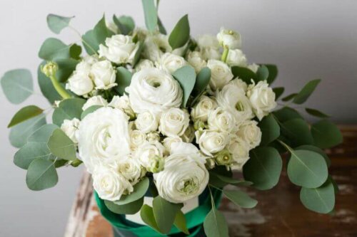 Ranunkel ist ein Favorit unter den Trockenblumen