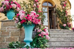 Die richtige Pflege von Rosen: Mit diesen Tipps wirst du lange Freude an ihnen haben!