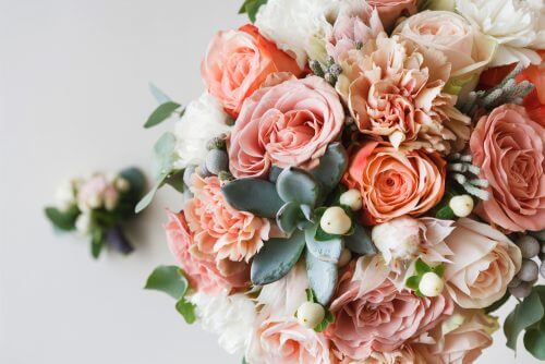 Die richtige Pflege von Rosen: Rosen brauchen 6 bis 8 Stunden Sonnenlicht