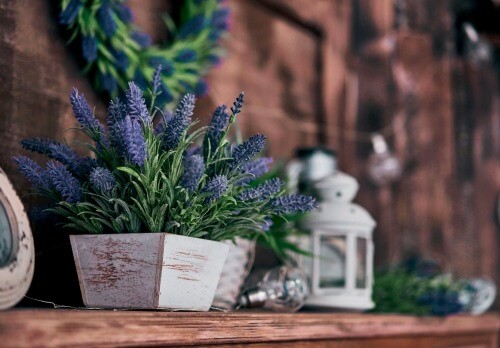 Der rustikale Stil mit Pflanzen