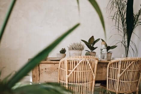 Nachhaltige Materialien - Bambus