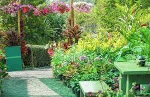 Achte auf deine Pflanzen, um Schädlinge zu vermeiden