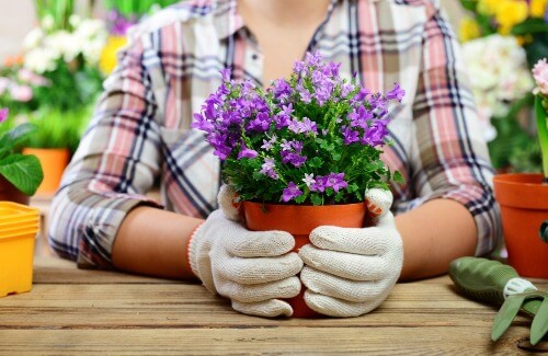 Blumentöpfe mit Steinen dekorieren: Einfach, aber originell