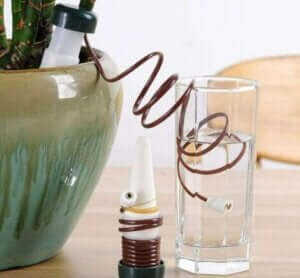 Pflanzen wässern - Wasserspirale