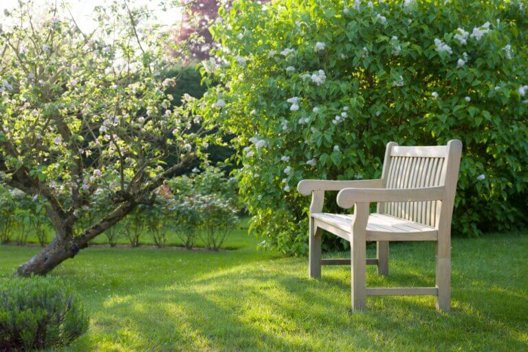 Moderne Gartengestaltung: Trends und Inspirationen